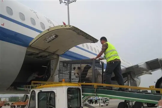 蚌埠空运宁波机场